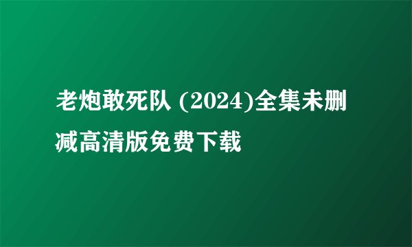 老炮敢死队 (2024)全集未删减高清版免费下载