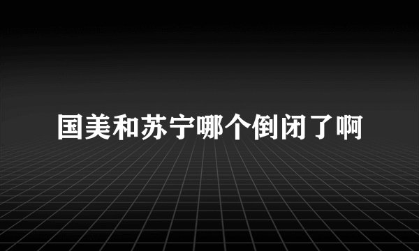 国美和苏宁哪个倒闭了啊
