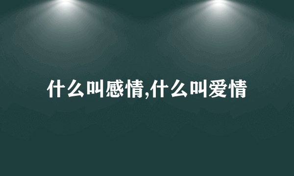 什么叫感情,什么叫爱情
