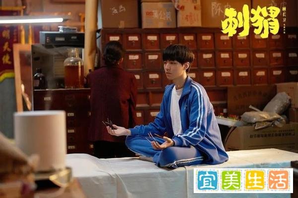 《刺猬》：人生被卡住并不可怕，看周正如何破局，找到自我