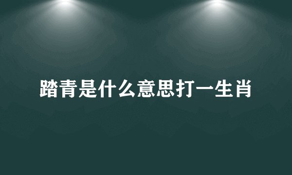 踏青是什么意思打一生肖