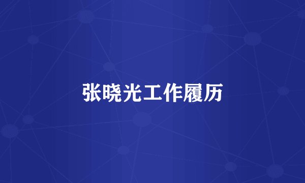 张晓光工作履历