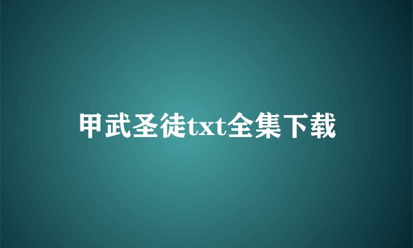 甲武圣徒txt全集下载