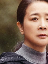 陈小艺主演的电视剧全部