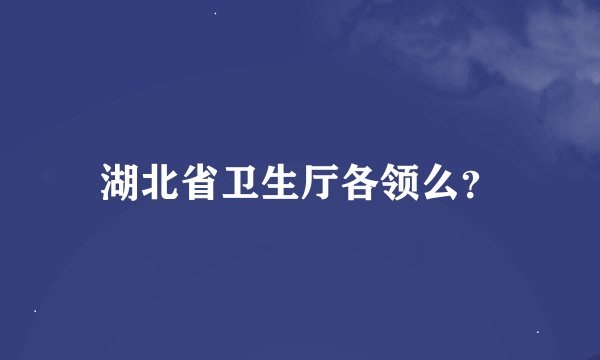 湖北省卫生厅各领么？