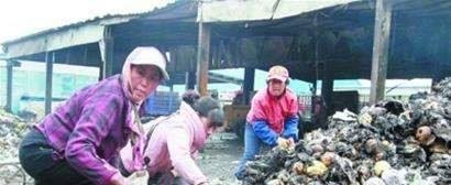 捡和拣的区别
