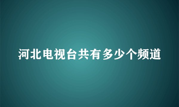 河北电视台共有多少个频道