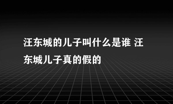 汪东城的儿子叫什么是谁 汪东城儿子真的假的