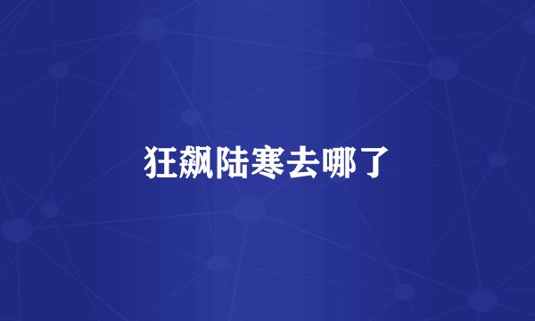 狂飙陆寒去哪了