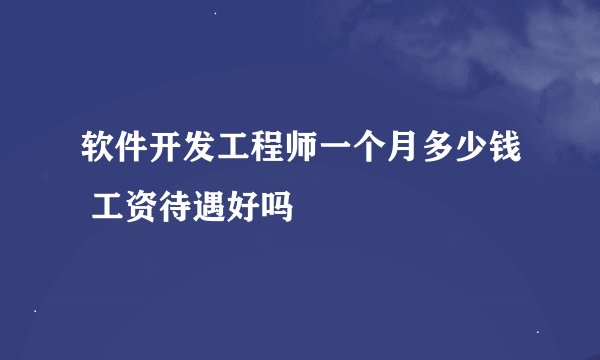 软件开发工程师一个月多少钱 工资待遇好吗
