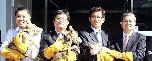 他学术造假在韩国身败名裂,竟来中国做克隆牛肉风生水起...我心疼牛