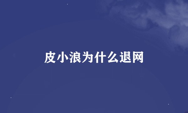 皮小浪为什么退网