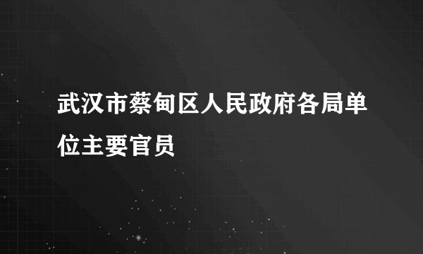武汉市蔡甸区人民政府各局单位主要官员