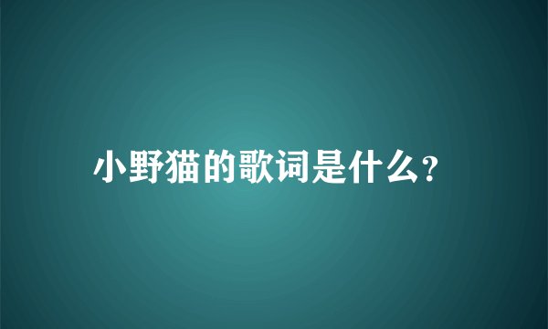 小野猫的歌词是什么？