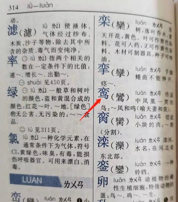 鸾字怎么解读
