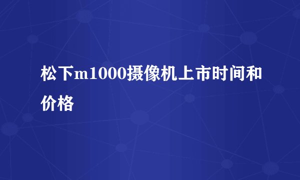 松下m1000摄像机上市时间和价格
