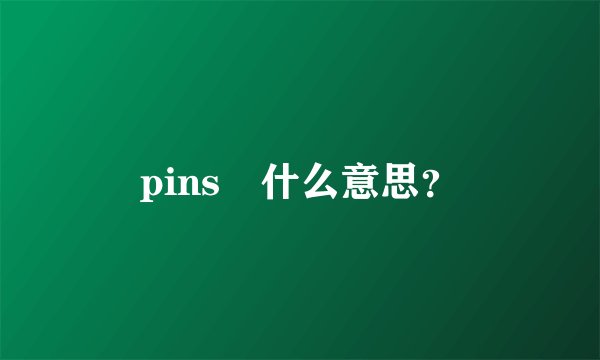 pins 什么意思？