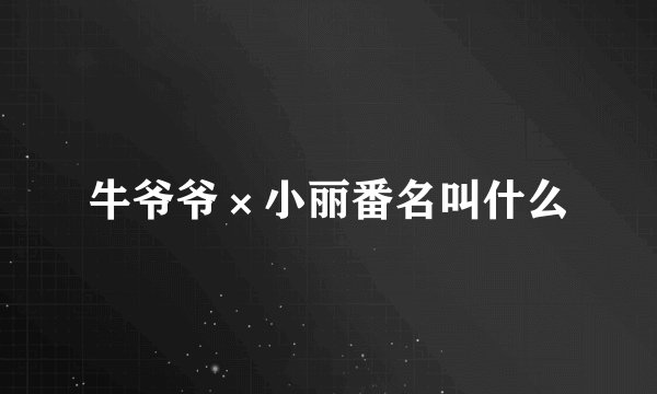 牛爷爷×小丽番名叫什么