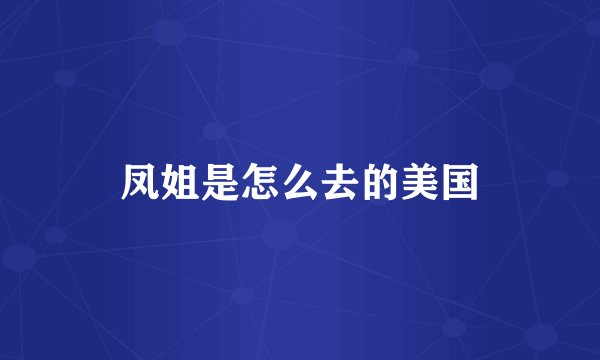 凤姐是怎么去的美国