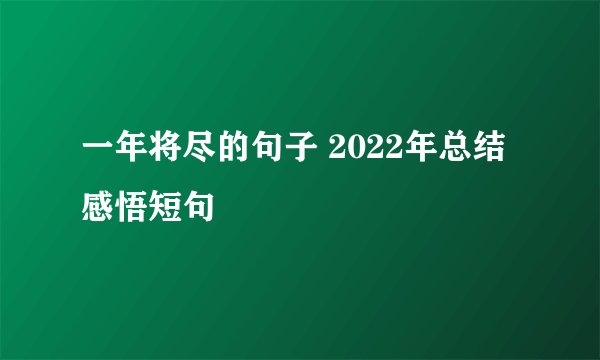 一年将尽的句子 2022年总结感悟短句