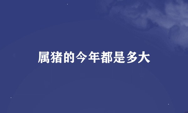 属猪的今年都是多大