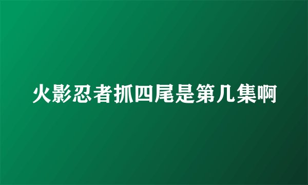 火影忍者抓四尾是第几集啊