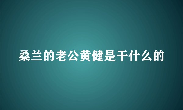 桑兰的老公黄健是干什么的