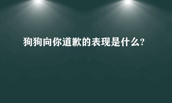 狗狗向你道歉的表现是什么?