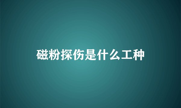 磁粉探伤是什么工种