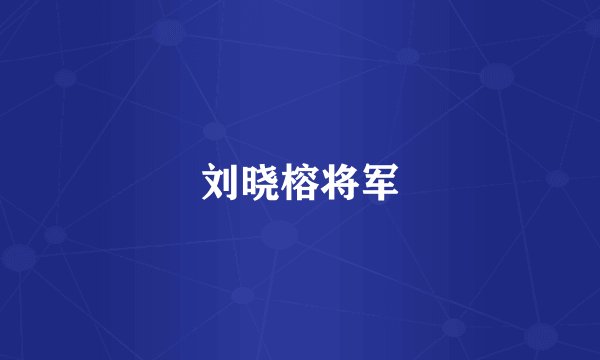 刘晓榕将军