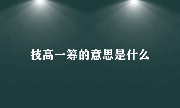 技高一筹的意思是什么