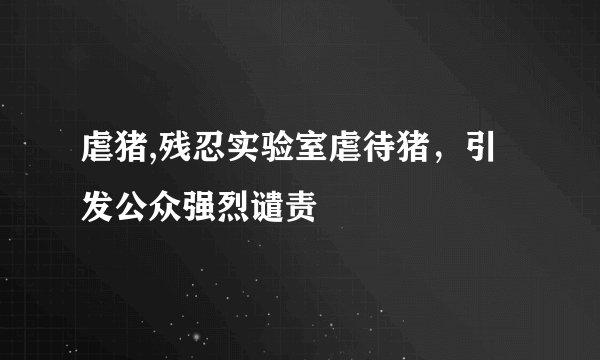 虐猪,残忍实验室虐待猪，引发公众强烈谴责