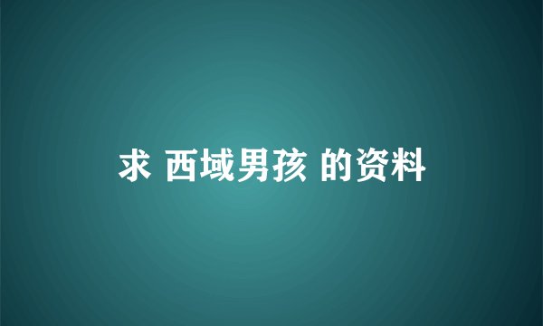 求 西域男孩 的资料