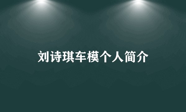 刘诗琪车模个人简介