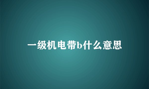 一级机电带b什么意思