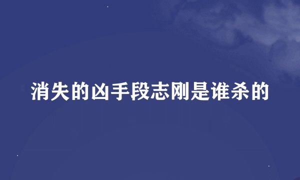 消失的凶手段志刚是谁杀的