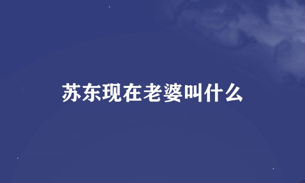 苏东现在老婆叫什么