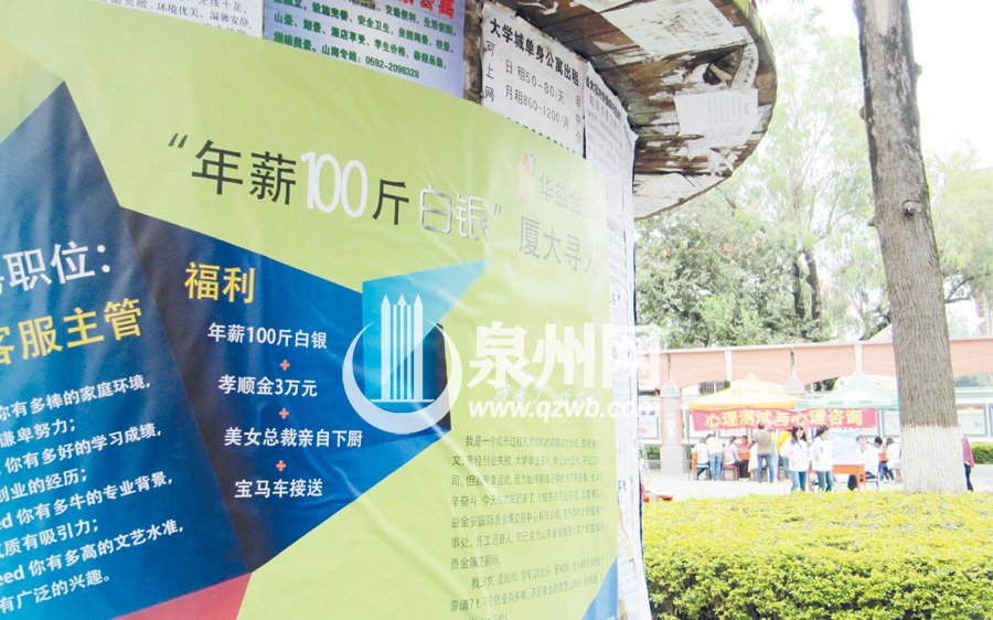 黄少燕的个人履历