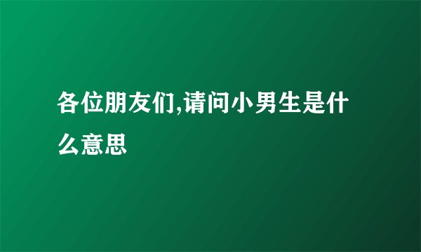 各位朋友们,请问小男生是什么意思