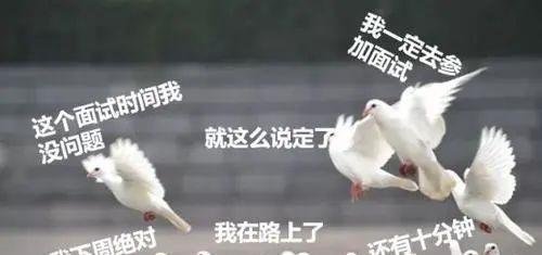 “放鸽子”用英语咋说？千万别说成let the pigeon fly……