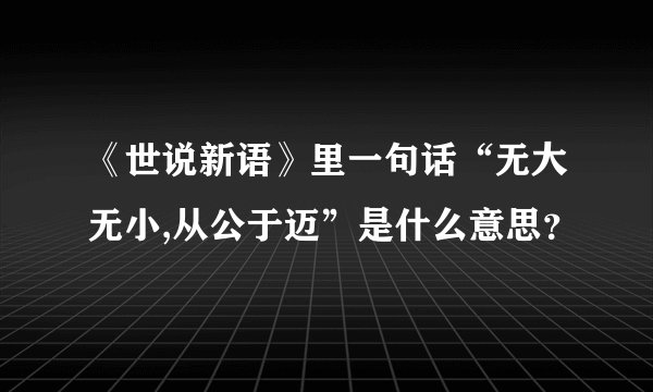 《世说新语》里一句话“无大无小,从公于迈”是什么意思？