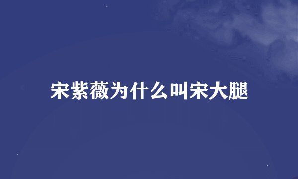 宋紫薇为什么叫宋大腿