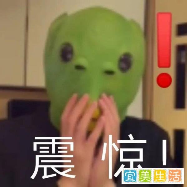 肖飞事件，原配绝地“反杀”，原来她才是那个最狠的人！