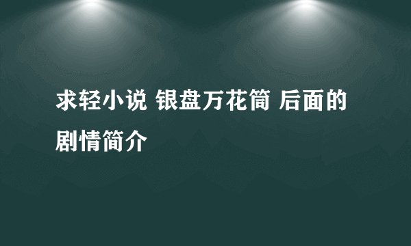 求轻小说 银盘万花筒 后面的剧情简介