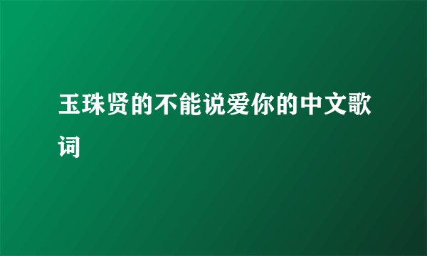 玉珠贤的不能说爱你的中文歌词