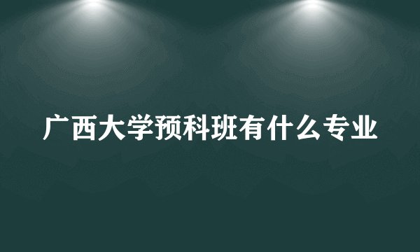 广西大学预科班有什么专业