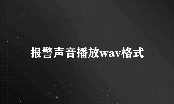 报警声音播放wav格式