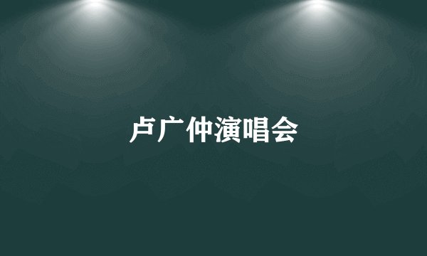 卢广仲演唱会