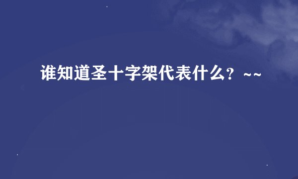 谁知道圣十字架代表什么?~~