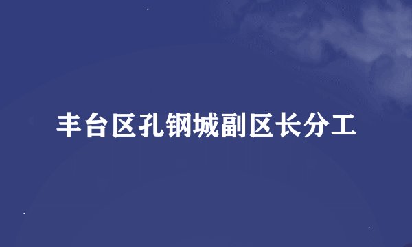 丰台区孔钢城副区长分工